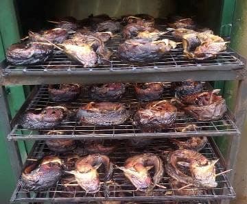 Dry fish farming